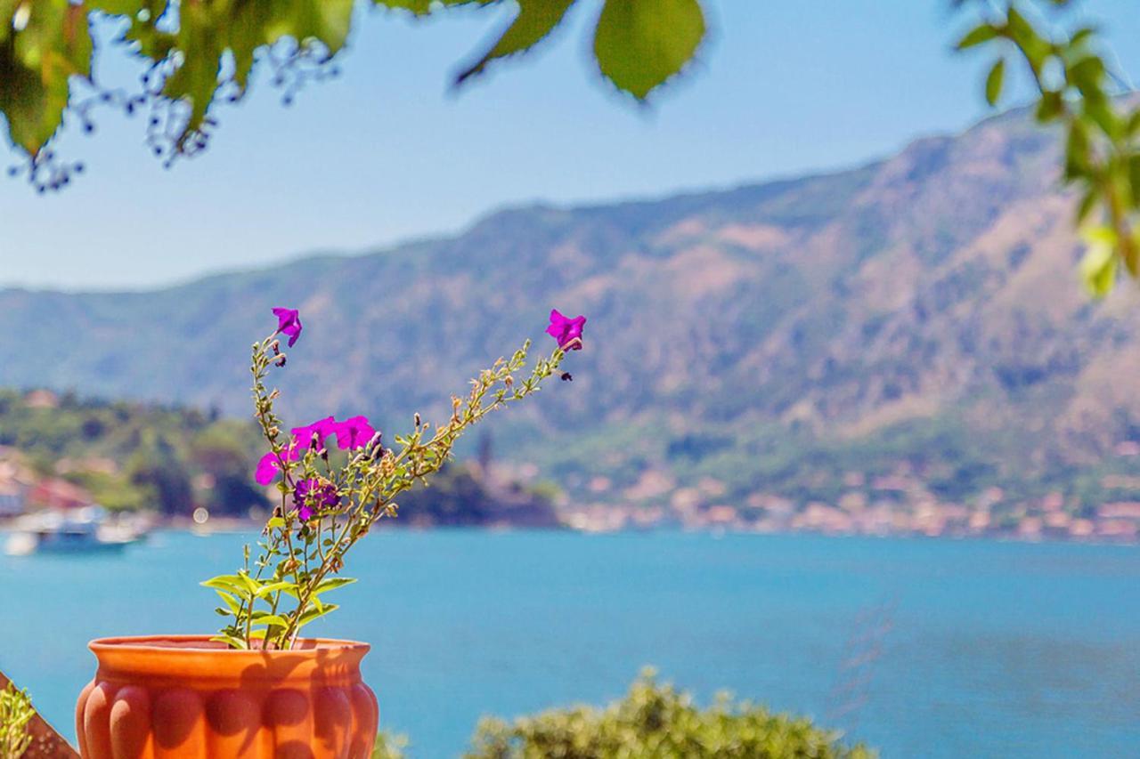 Villa Donkovic كوتور المظهر الخارجي الصورة
