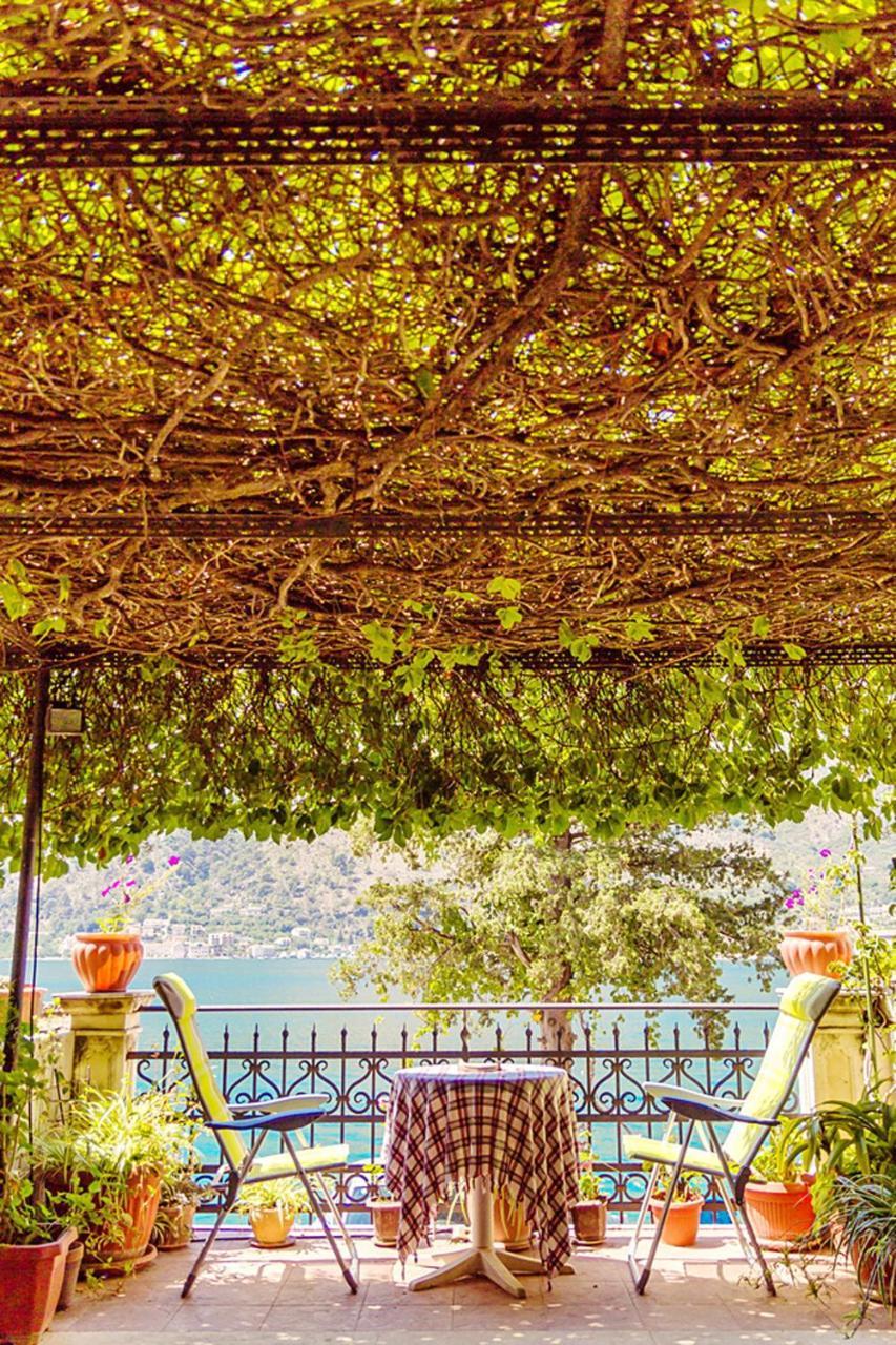 Villa Donkovic كوتور المظهر الخارجي الصورة