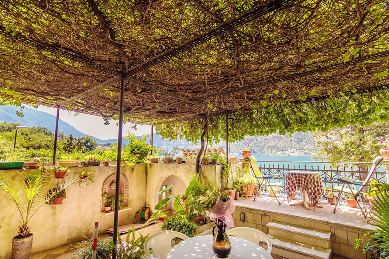 Villa Donkovic كوتور المظهر الخارجي الصورة
