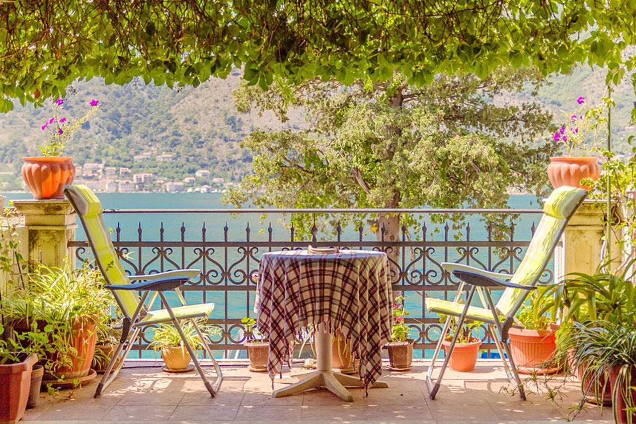 Villa Donkovic كوتور المظهر الخارجي الصورة